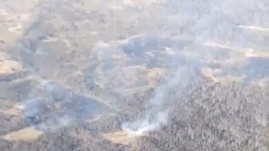 Лесные пожары