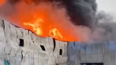 Пожар в Ленинградской области
