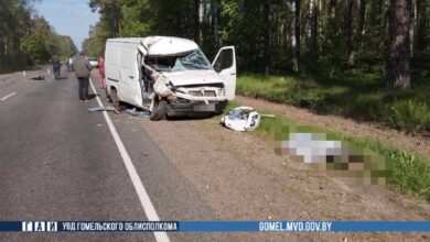 ДТП в Гомельской области