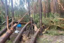 Последствия стихии в Гродненской области