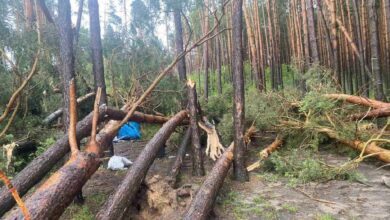 Последствия стихии в Гродненской области