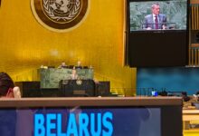 Валентин Рыбаков выступает в ООН