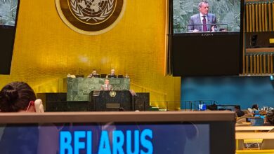 Валентин Рыбаков выступает в ООН