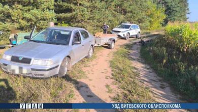 ДТП в Витебской области