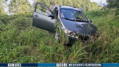 В ДТП под Бобруйском пострадали пять человек