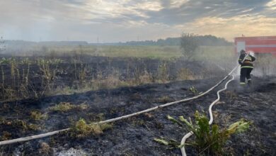 Два человека пострадали при лесных пожарах в Беларуси