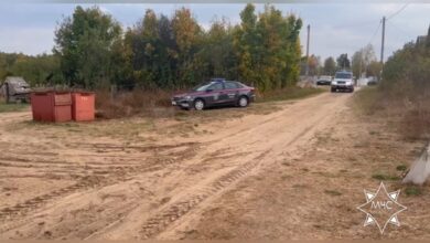 Пенсионерку, заблудившуюся в лесу Крупского района, искали больше суток