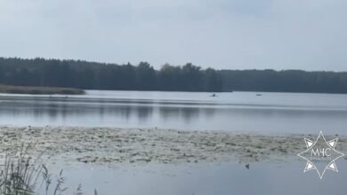 В Оршанском районе сотрудники МЧС спасли тонущего пенсионера