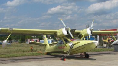 В Подмосковье разбился «Алекс-251»