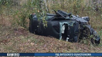 ДТП в Витебской области