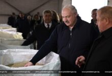 Лукашенко предложил поставить в Беларуси памятник корове