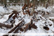 В Полоцком районе нашли фрагменты самолета времен Великой Отечественной войны