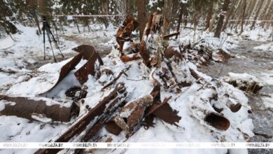 В Полоцком районе нашли фрагменты самолета времен Великой Отечественной войны