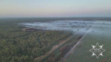 Пожар в Брестской области