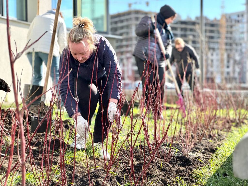 В Республиканском субботнике приняли участие свыше 500 тысяч минчан