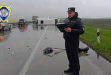ДТП в Минской области
