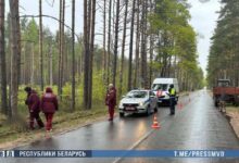 ДТП в Минской области