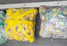 Пограничники задержали курьера и закладчика психотропов