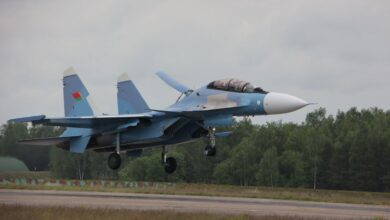 Партия российских самолетов Су-30СМ2 прибыла в Беларусь