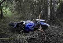ДТП в Могилевской области