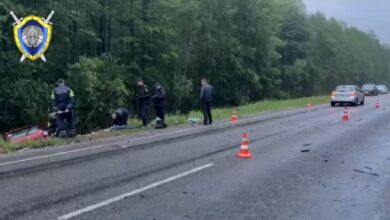 ДТП в Жлобинском районе