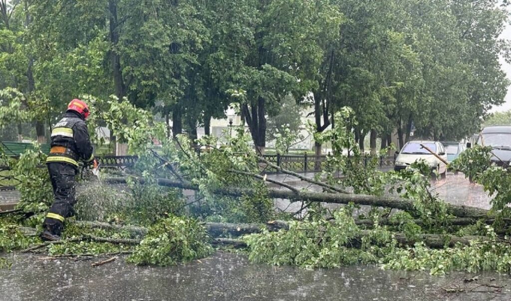 Гомельская область