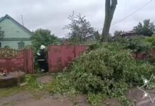 Белорусские спасатели оказывают помощь в ликвидации последствий непогоды