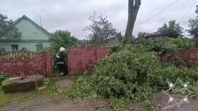 Белорусские спасатели оказывают помощь в ликвидации последствий непогоды