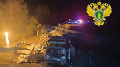 Обрушение моста на поезд в Брянской области