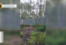 Пограничники на границе с Латвией нашли беженца с многочисленными травмами