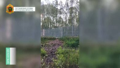 Пограничники на границе с Латвией нашли беженца с многочисленными травмами