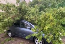 Последствия непогоды в Минске и Минской области