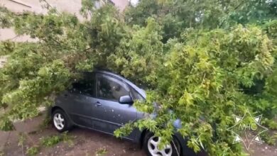 Последствия непогоды в Минске и Минской области