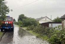 Последствия сильного ветра в Гомельской области