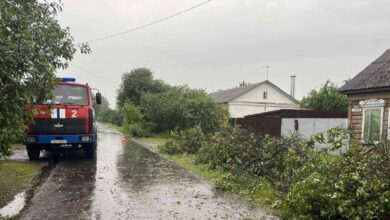 Последствия сильного ветра в Гомельской области