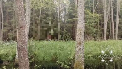 В Витебской области спасатели нашли потерявшуюся в лесу женщину