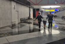В аэропорту Шереметьево на двухлетнего малыша напал неадекватный пассажир