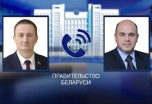 Александр Турчин и Михаил Мишустин