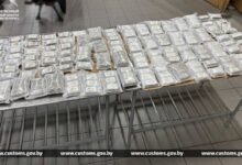 Белорусские таможенники пресекли ввоз свыше 50 кг гашиша