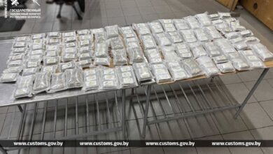 Белорусские таможенники пресекли ввоз свыше 50 кг гашиша