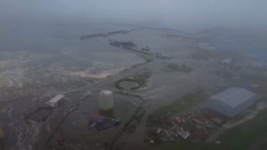 Цунами после землетрясения на Камчатке