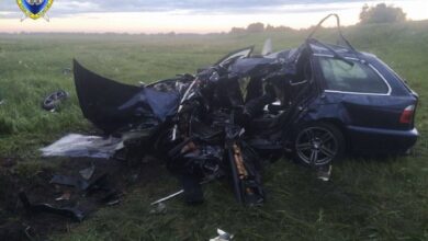 ДТП в Гомельской области