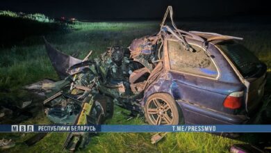 ДТП в Гомельской области