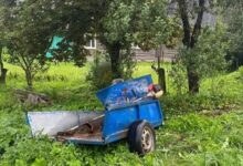 ДТП в Гродненской области
