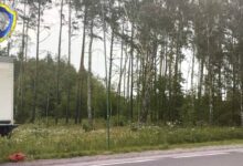 Двое мужчин погибли в Речицком районе от удара током