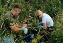 Под Новогрудком из-за загрязнения реки Ятранки погибла рыба