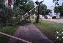 Последствия непогоды