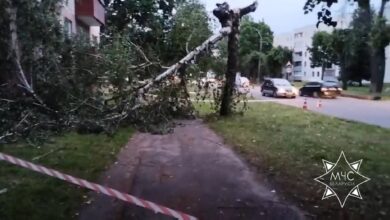 Последствия непогоды