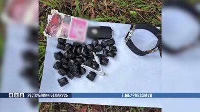 Силовики задержали в Минской области иностранца-наркозакладчика