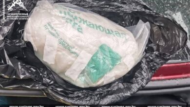 Витебские таможенники пресекли канал поставки психотропов в Беларусь